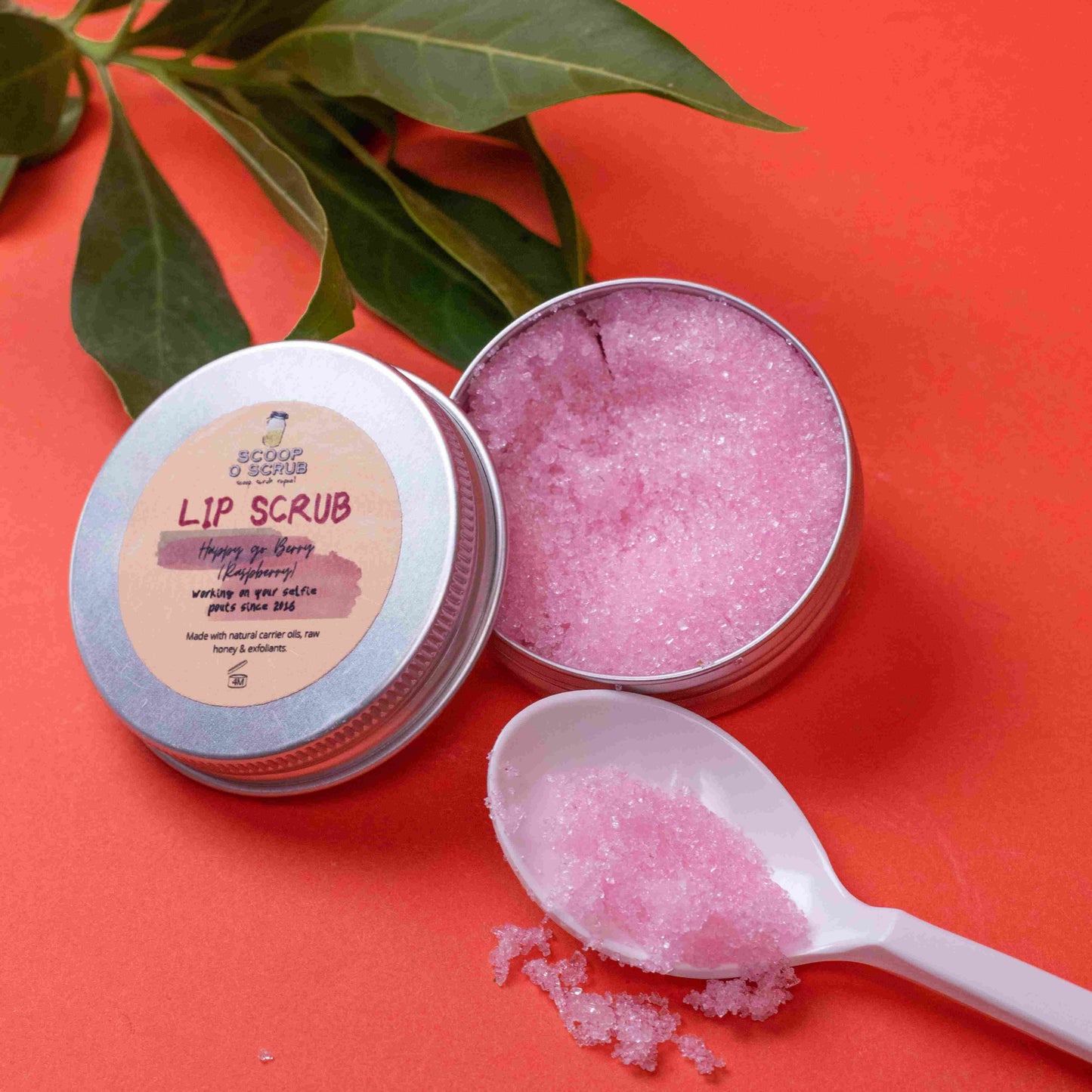 Happy Go Berry - Lip Scrub