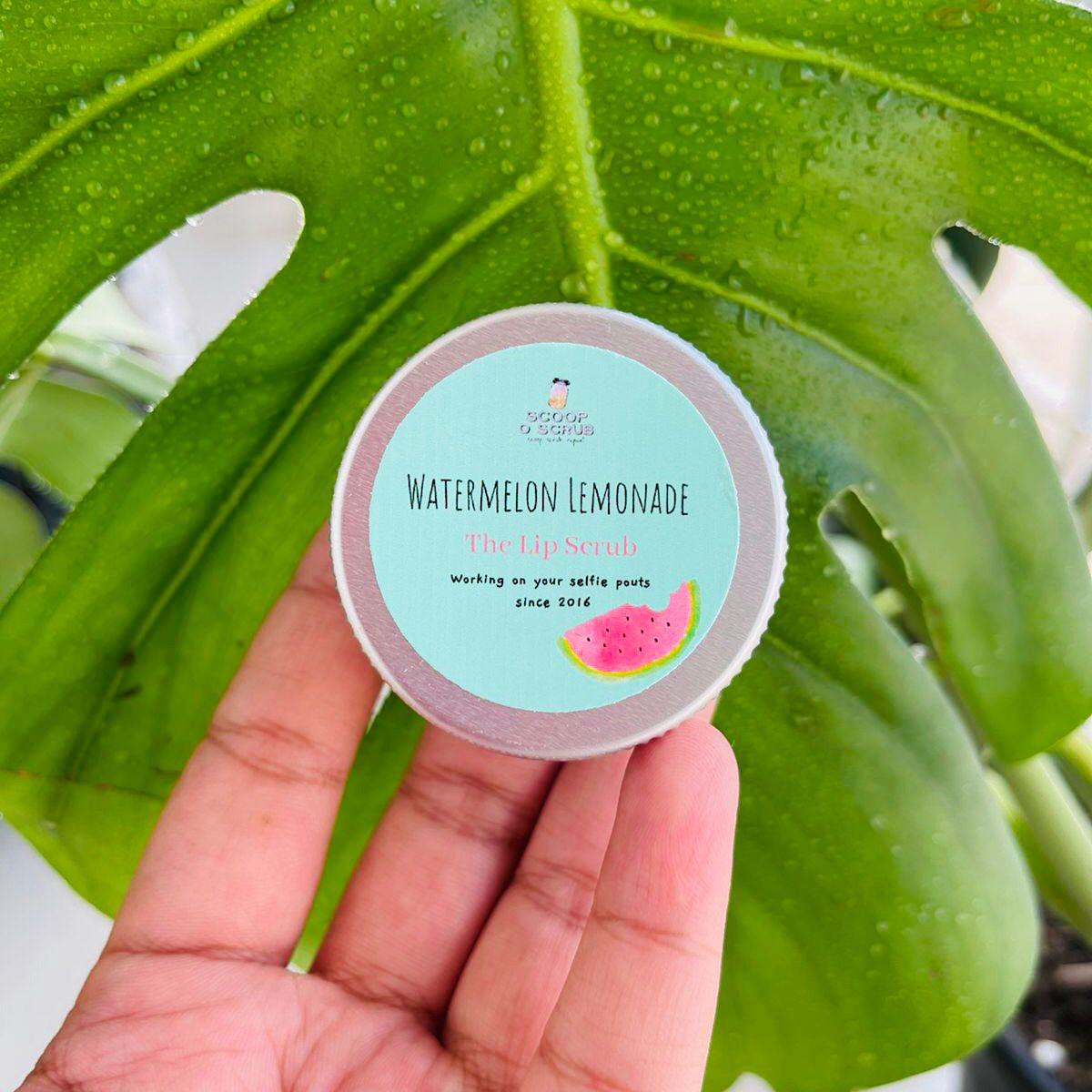 Watermelon Lemonade - Lip Scrub